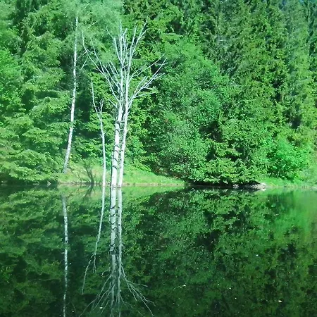 Ubytovani U Sykoru Проживание в семье *